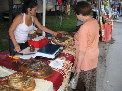 bodrogfest 2011-1